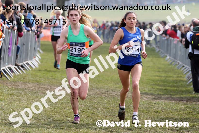 Womens under-17s 2016 Inter Counties Cross Country Champs. and Cross Challenge Final, Cofton Park, Birmingham. Photo: David T. Hewitson/Sports for All Pics